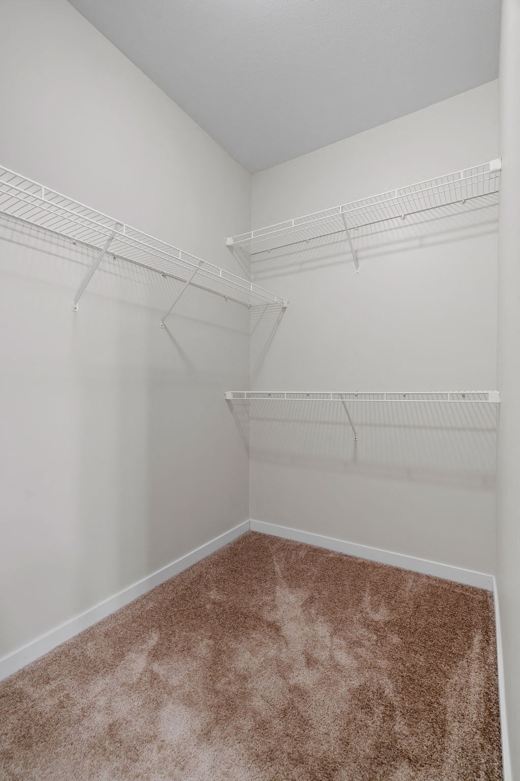 Walk-In Closet With Built-In Shelving