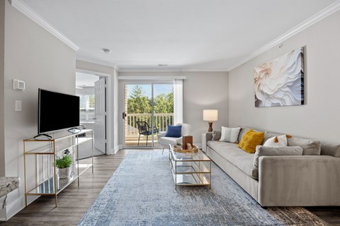 A living room with a grey couch, a blue rug, a television, and a painting on the wall.