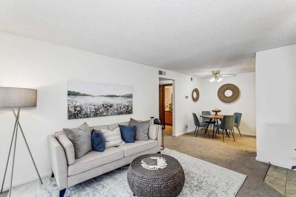 Living Room with Carpet