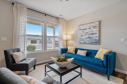 Spacious Living Area With Wood-Style Flooring