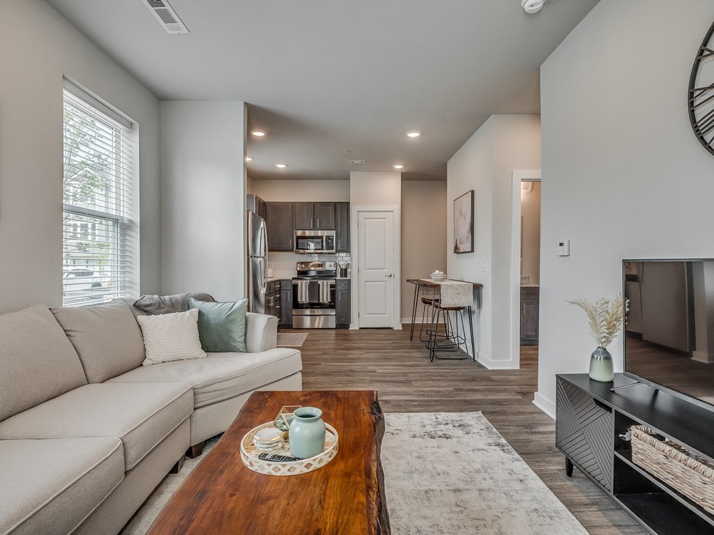Spacious Living Area With Wood-Style Flooring