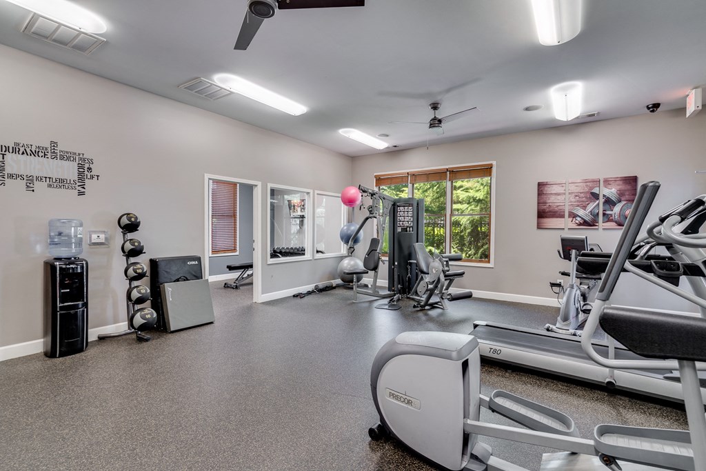 the gym has plenty of exercise equipment including treadmills and weights