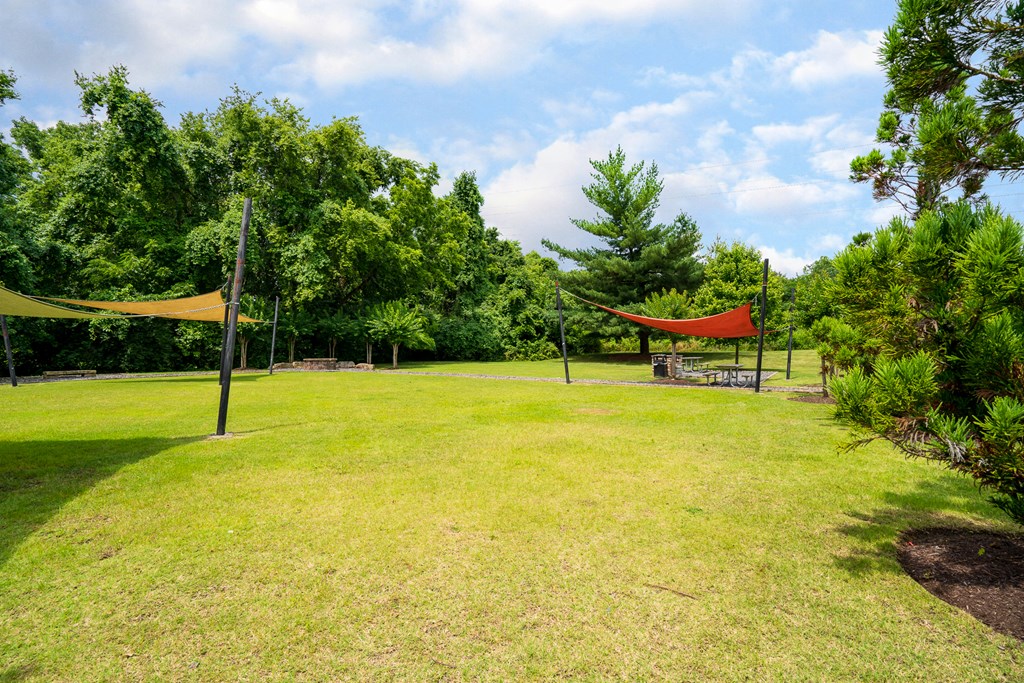 Lush Outdoor Green Space
