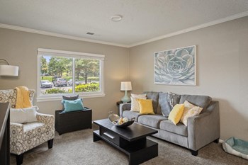 Living Room With Lots Of Natural Light - Photo Gallery 4