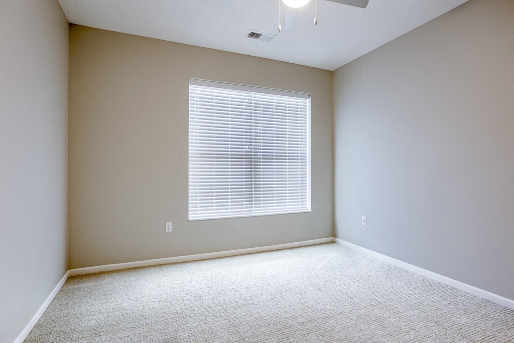 Bedroom with Plush Carpeting
