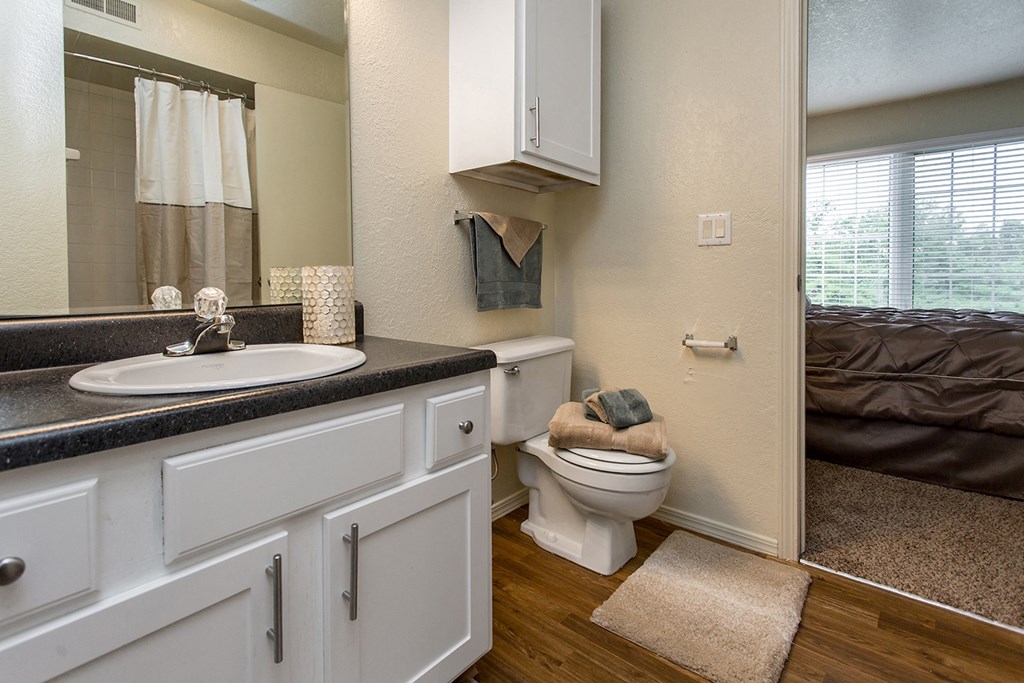 Bathroom With Wood-Style Flooring & Medicine Cabinet