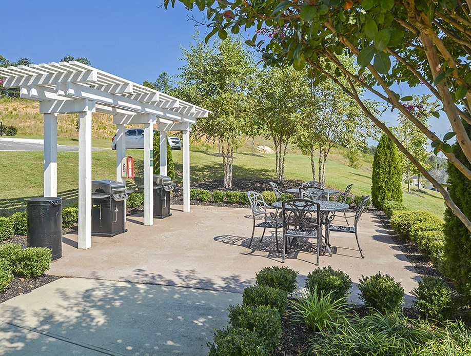 BBQ Grill and Picnic Area