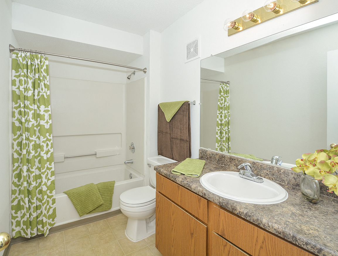 Full-Size Bathroom with Large Vanity