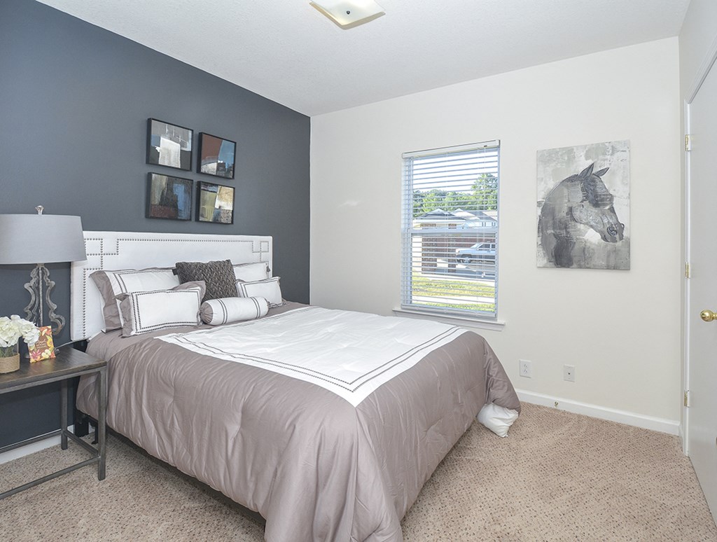 Bedrooms with Accent Wall