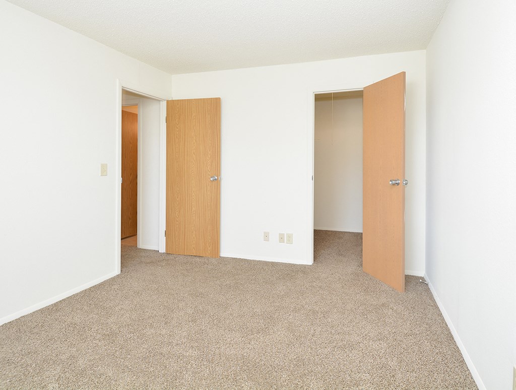 Walk-In Closets in Bedrooms