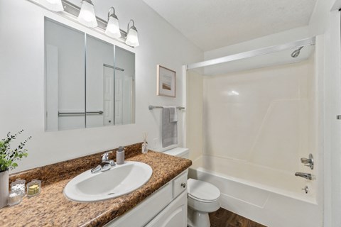 Bathroom with Modern Finishes