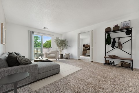 Spacious Living Area with Carpet