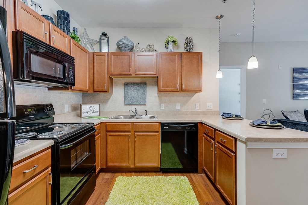 Kitchen with Black Appliances