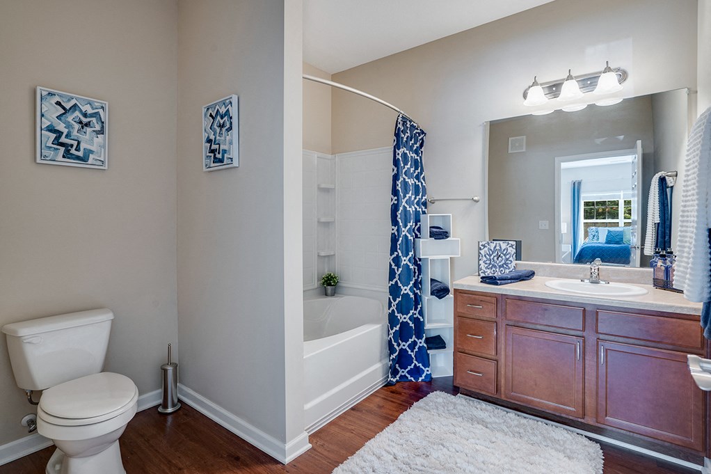 Spacious Bathroom with Shower and Tub