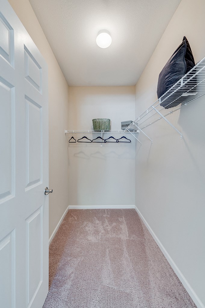 Large Walk-In Closet