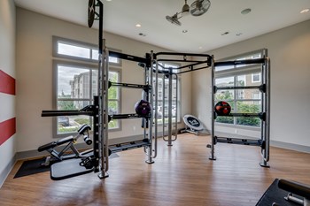 Large Weight Equipment with Medicine Balls - Photo Gallery 3