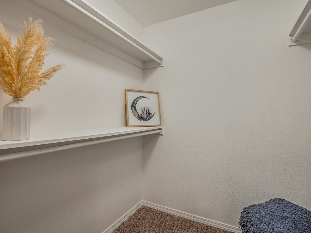 Walk-In Closet With Built-In Shelving