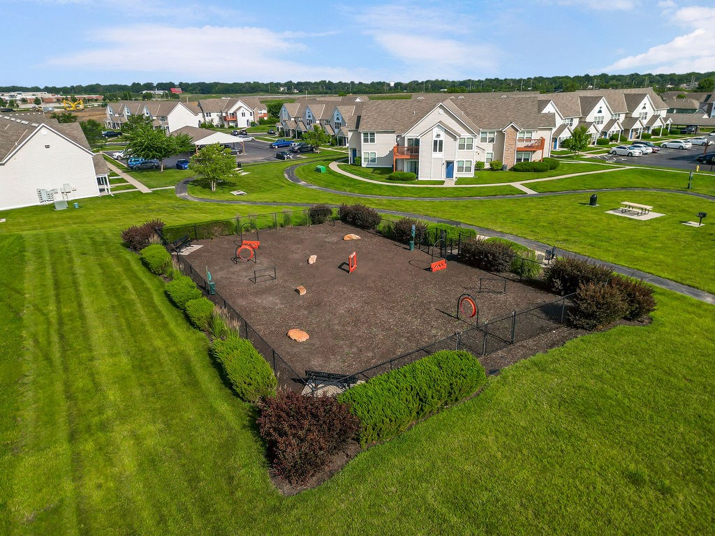 Dog Park with Equipment