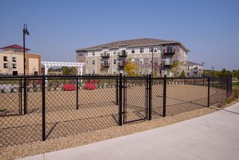 Fenced In Dog Park