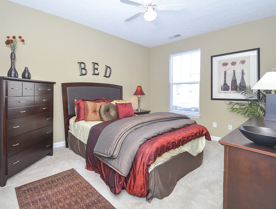 Carpeted Bedroom with Large Window