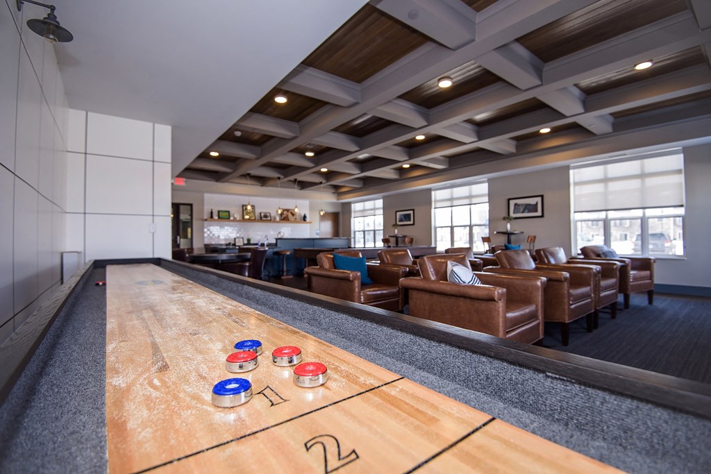 Shuffleboard In The Rec Room