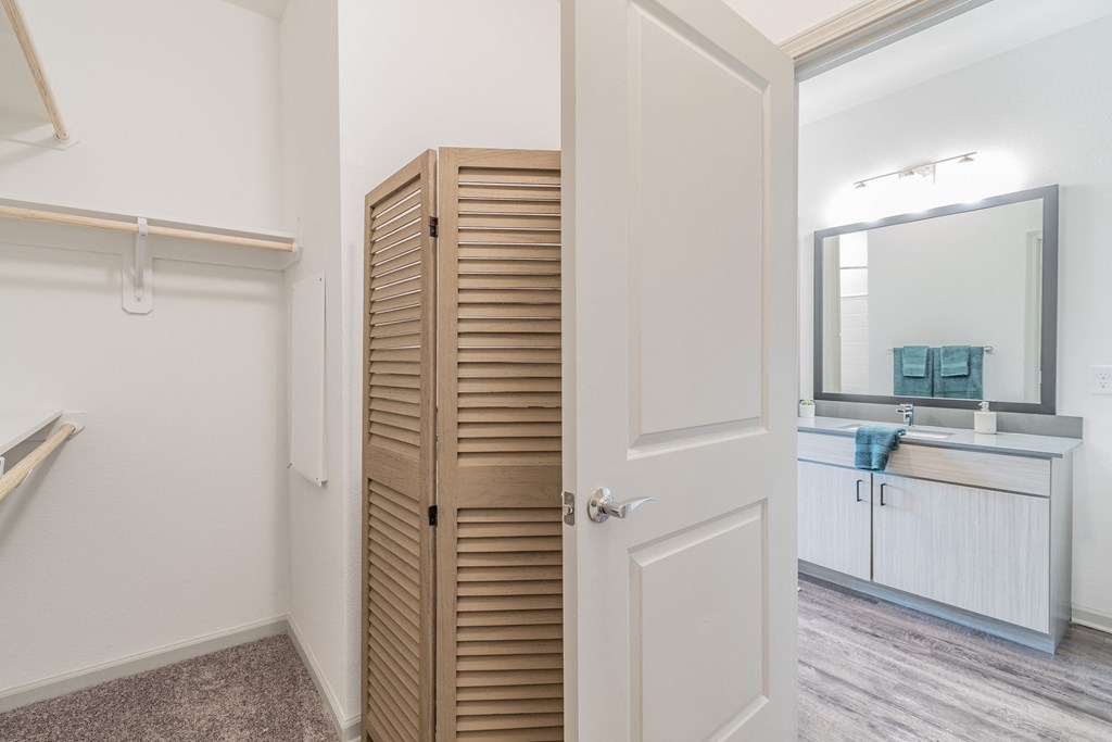 Spacious Walk-In Closet