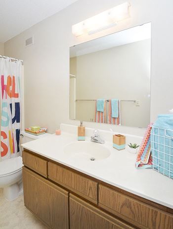 Bathroom with Modern Finishes