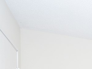 Large Dining Room Area Adjacent to Kitchen - Photo Gallery 4