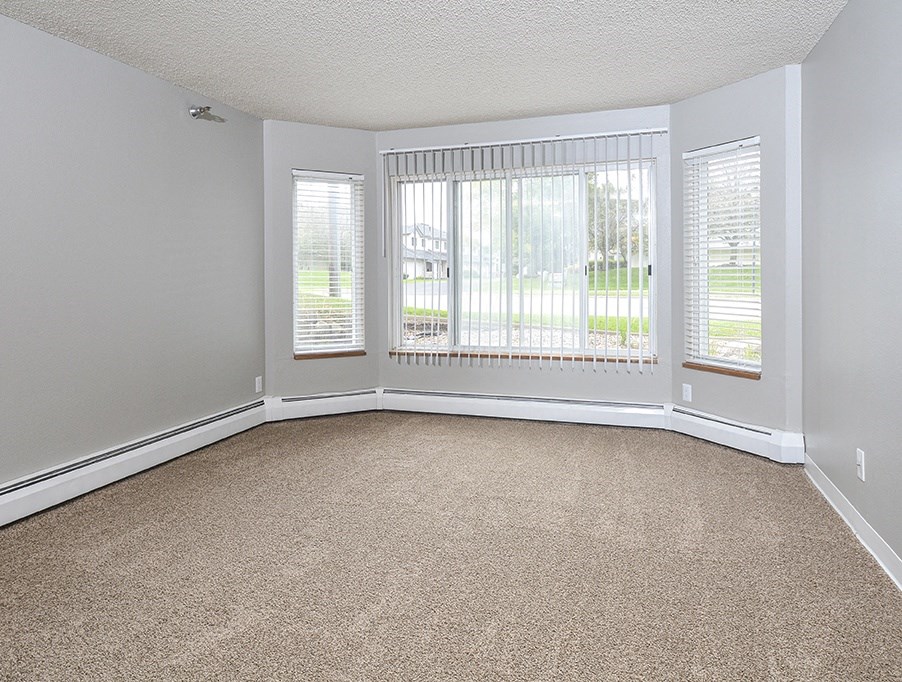 Spacious Living Area with Carpet