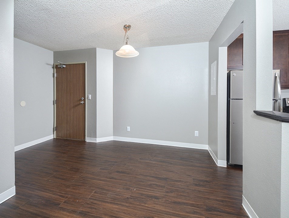 Wood-Style Flooring and Overhead Lighting