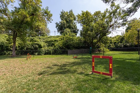 A dog park with a red hurdle toys in a grassy field with trees in the background.