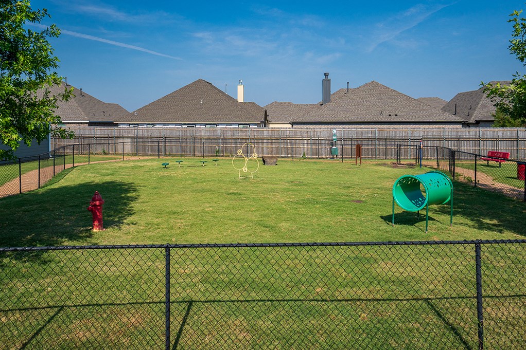 Dog Park with Play Structures