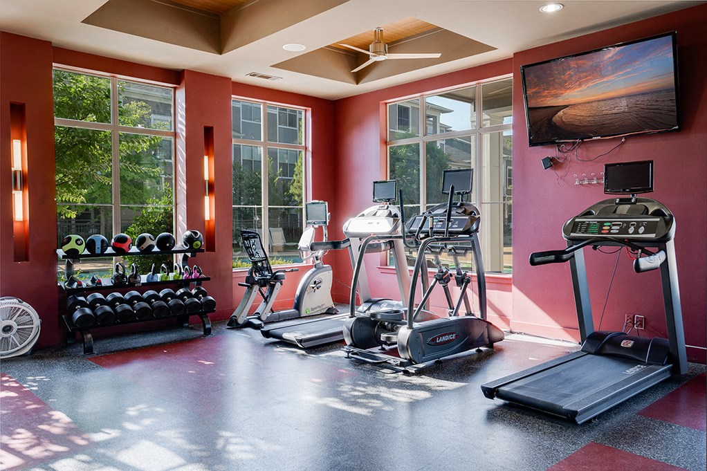 Cardio and Free Weight Equipment