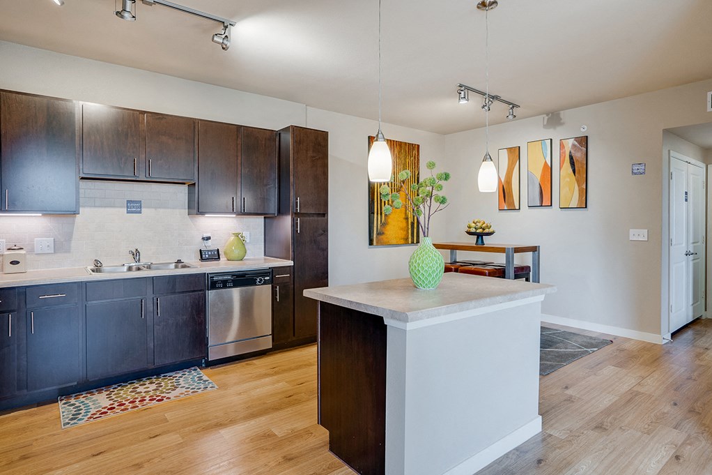 Large Windows with Dark Cabinetry
