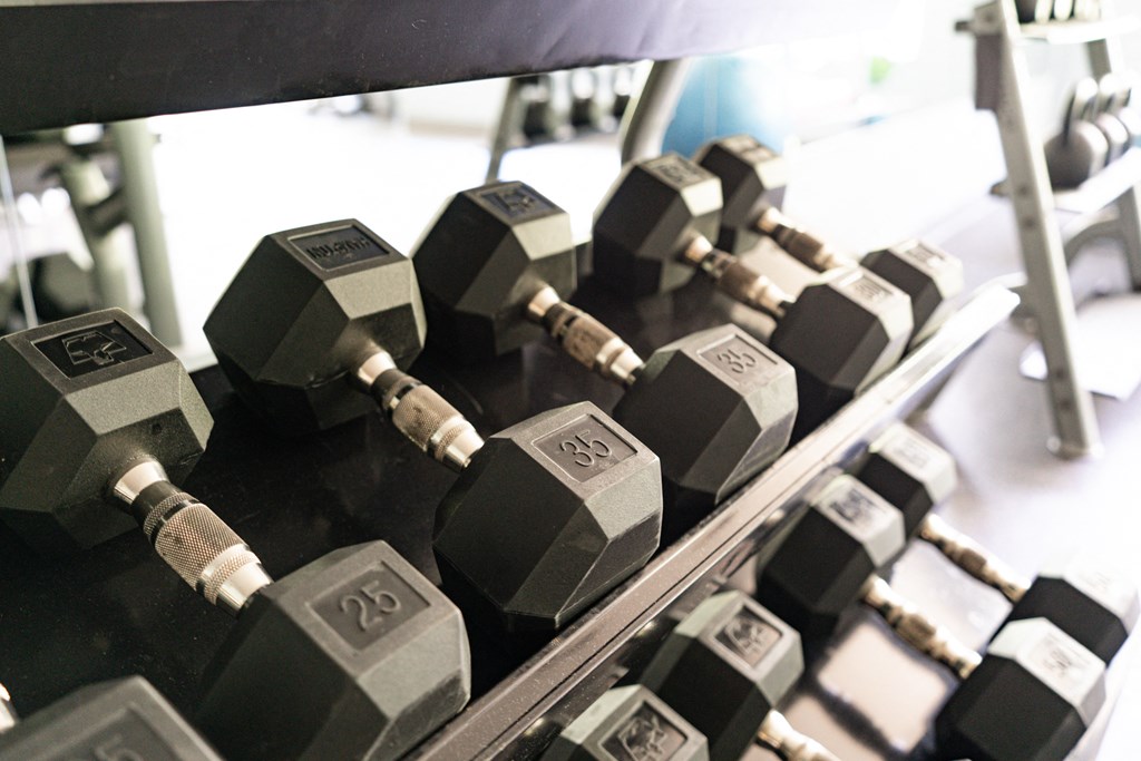 Free Weights At The Fitness Center