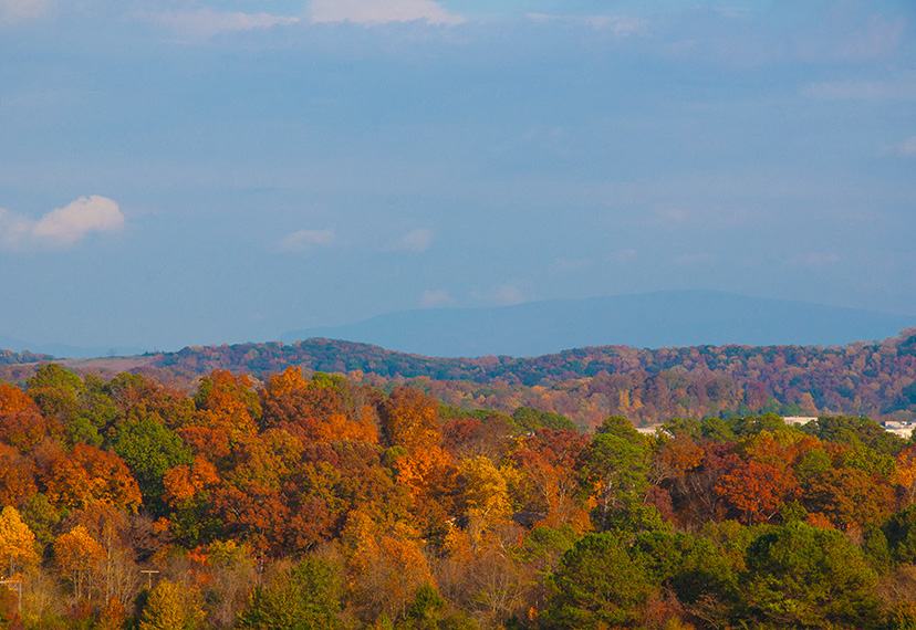 Fall Views at Brookes Edge