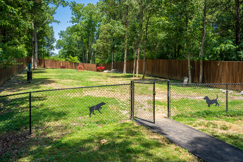 Fenced In Dog Park