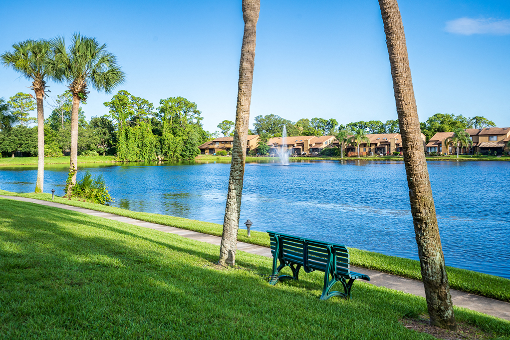 Bench Along a Walking Path