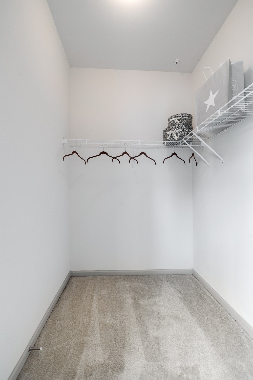 Spacious Walk-In Closet