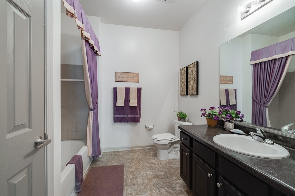 Bathroom With Large Vanity & Shower With Tub