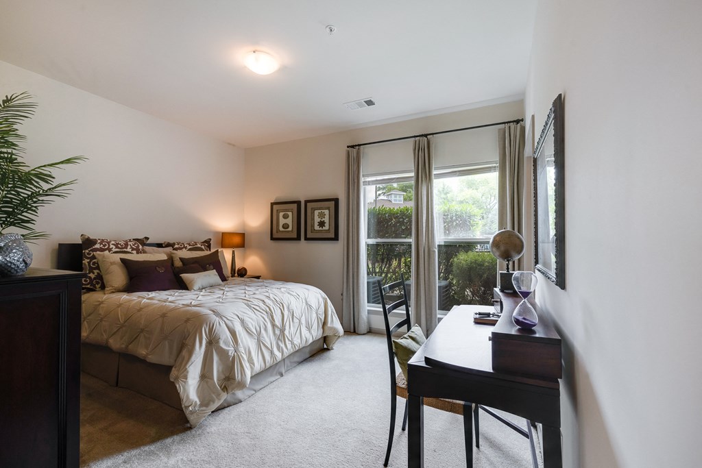 Carpeted Bedroom With Large Double Windows