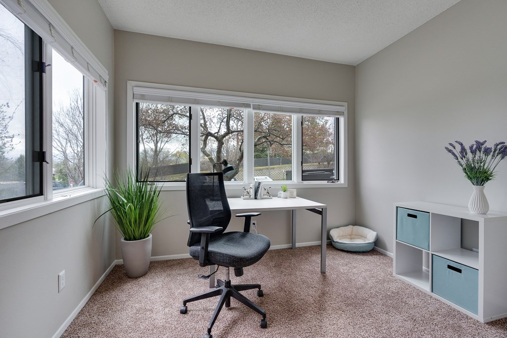 Den Area With Lots Of Windows