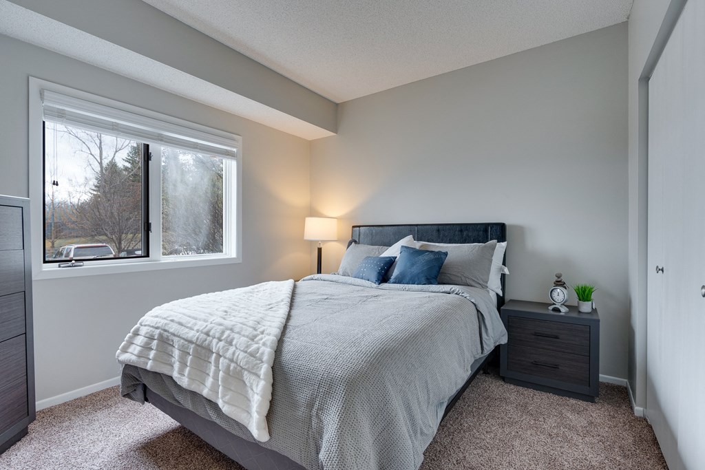 Carpeted Bedroom With Lots Of Natural Light