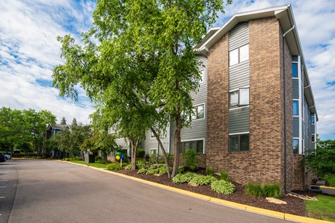 Beautiful Trees & Landscaping Throughout The Community