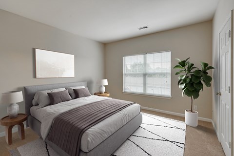Bedroom with Plush Carpeting