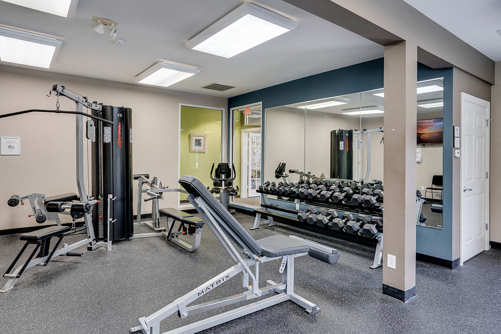 Adjustable Weight Bench with Weight Rack