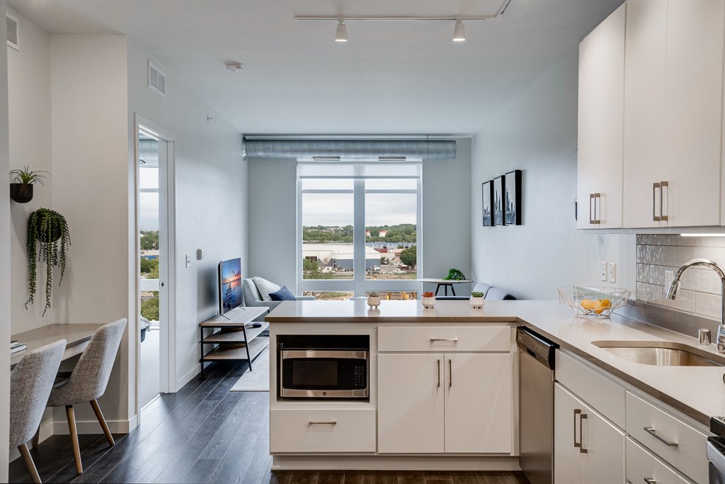 Stainless Steel Microwave and Dishwasher