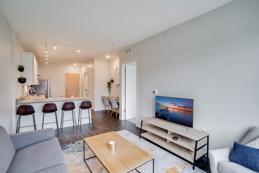 Open Concept Living Room and Kitchen