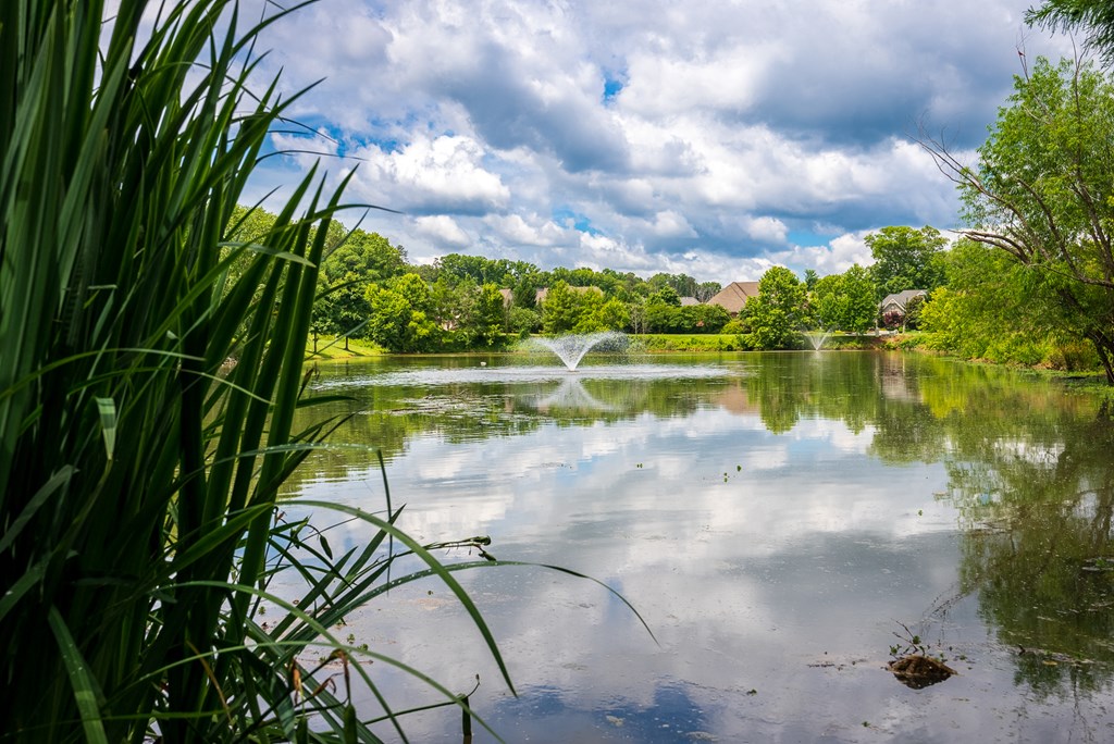 Scenic On-Premise Pond