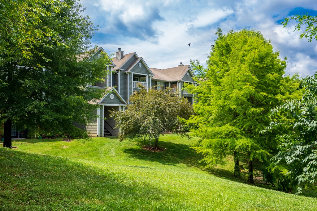 Lush Greenery & Landscaping Throughout The Community